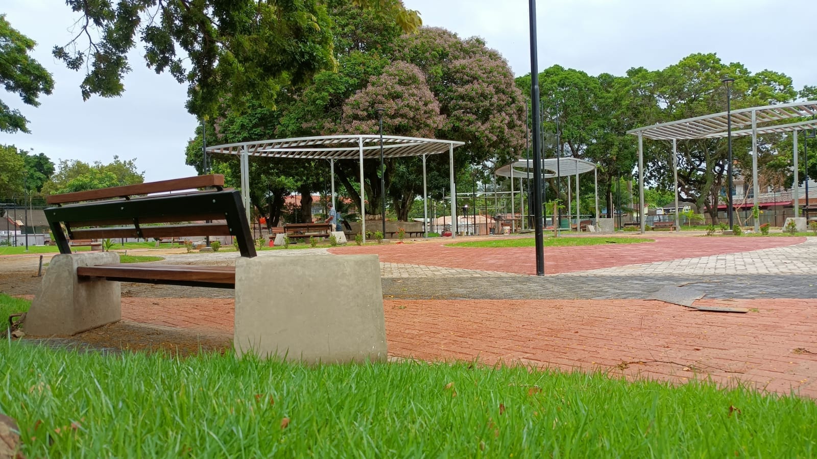 486662696_1215902770108417_7294318736008207655_n