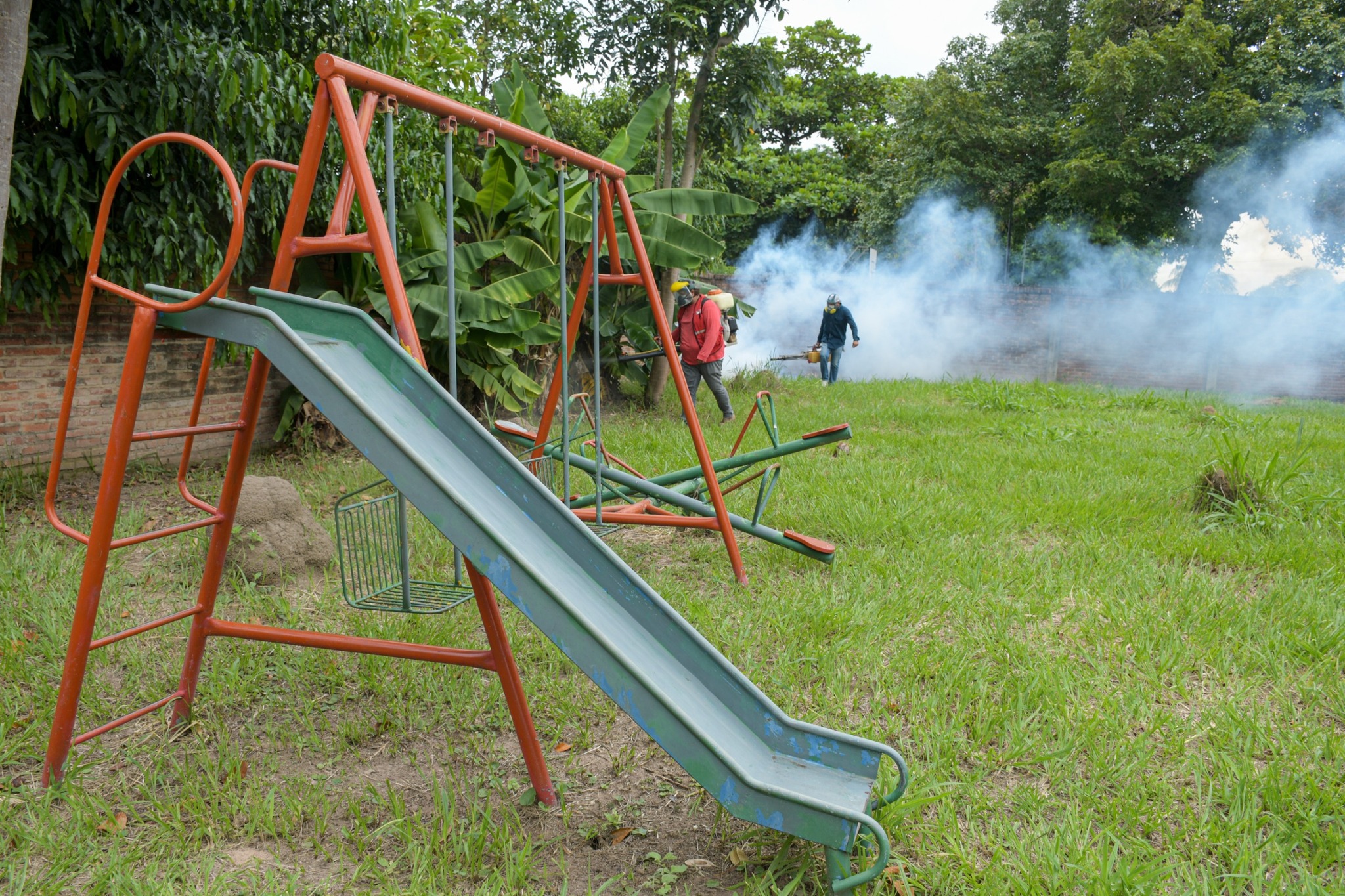 637139840_1223198246663820_2599727465435073199_n